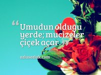 4ddb39063ca90fa31fa248fc1d865738.jpg