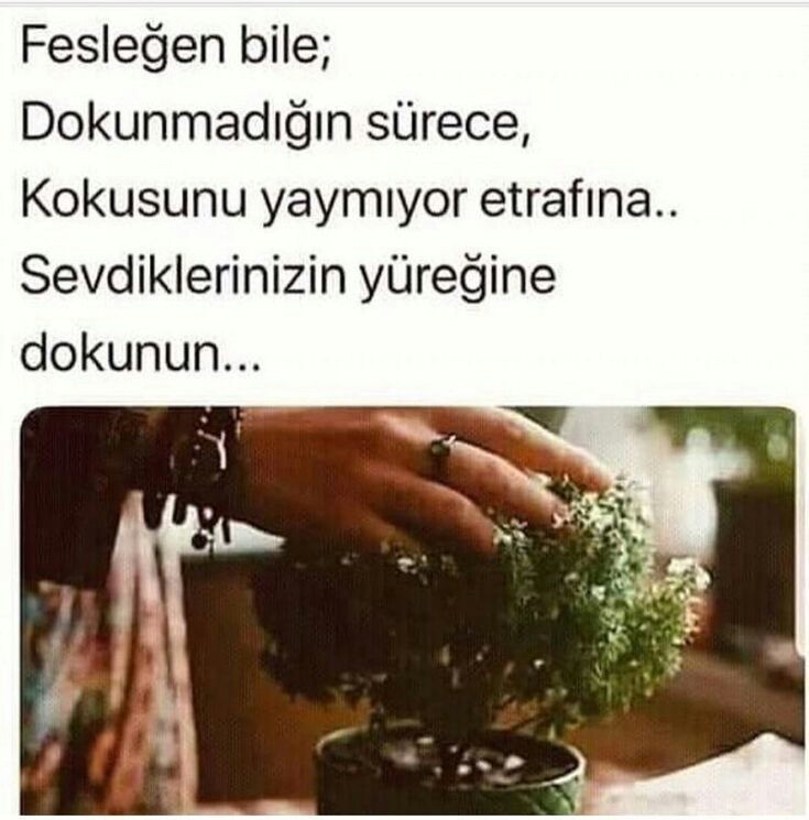 0c9b1b6d65567a47b0e2b8e2c8eda244