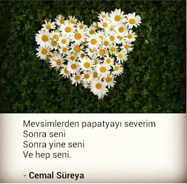 1562612940174