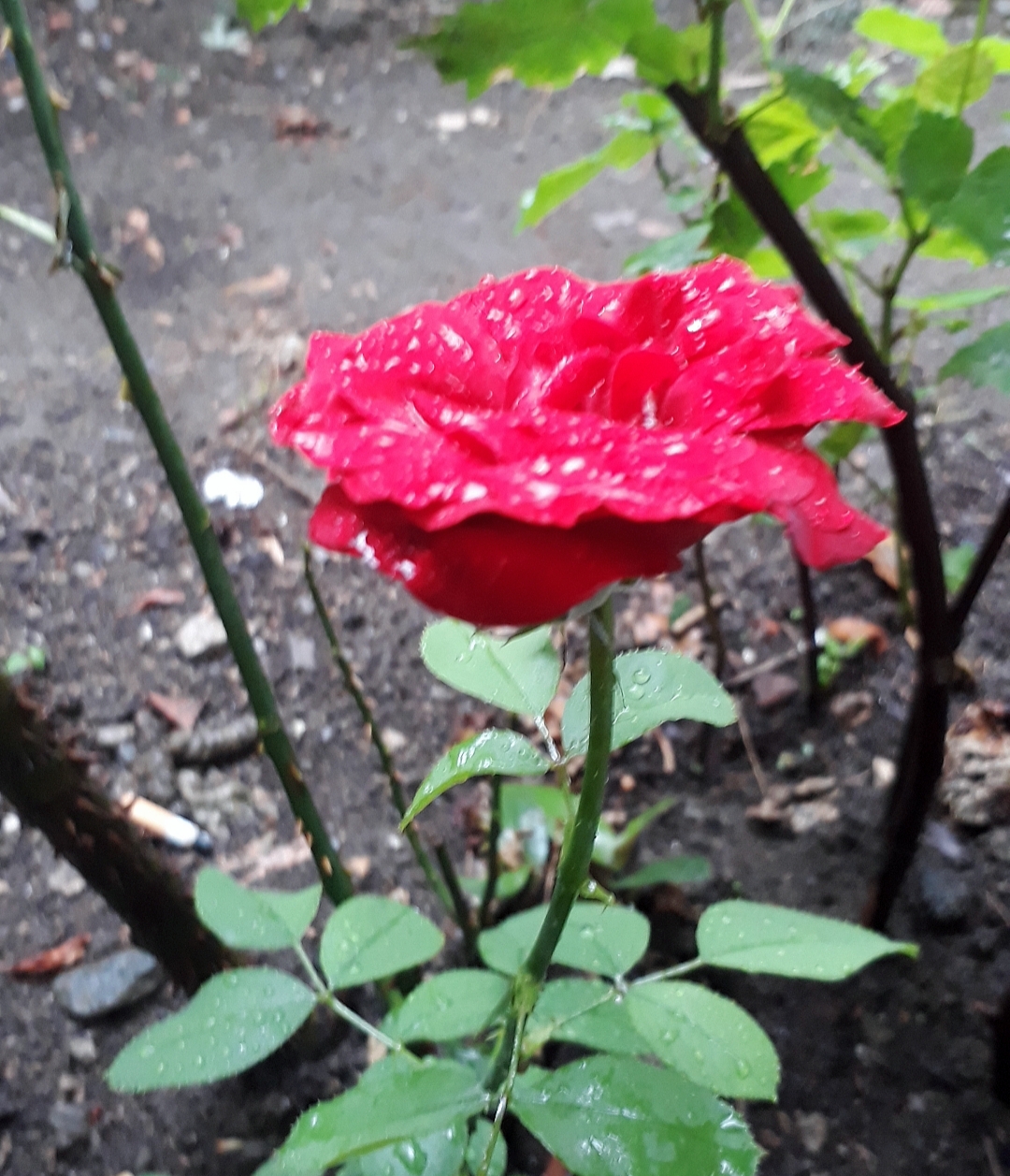 20190713 121653