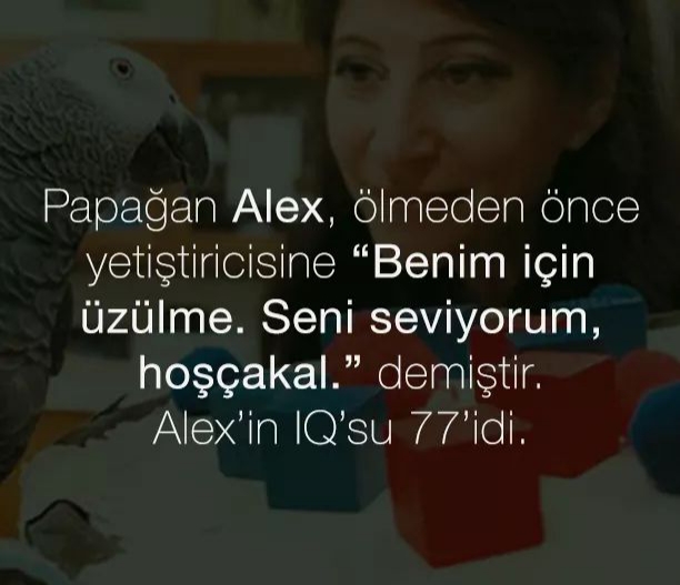 20200202 194424