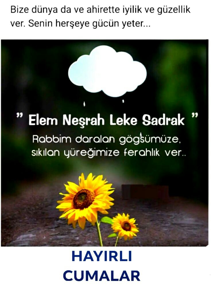 278ef8564b8bd1dc885a1bca2f6f87f3