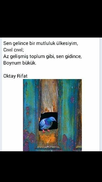 279b2304e5a6f90222c3d979089366bb