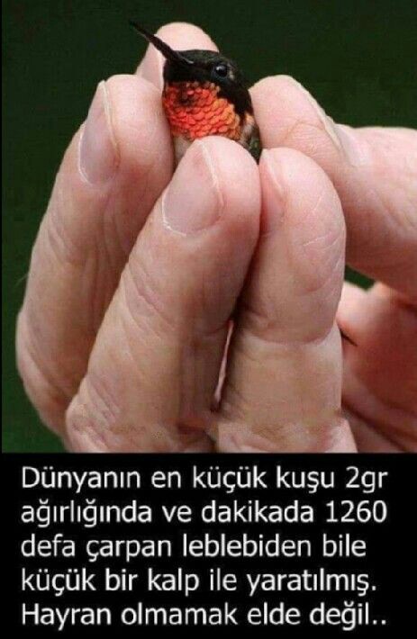 403022b40b8394e351fcd92c90768b1e