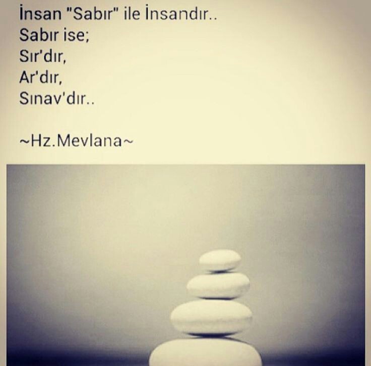 448e9a618f2c86c428740519c0580322