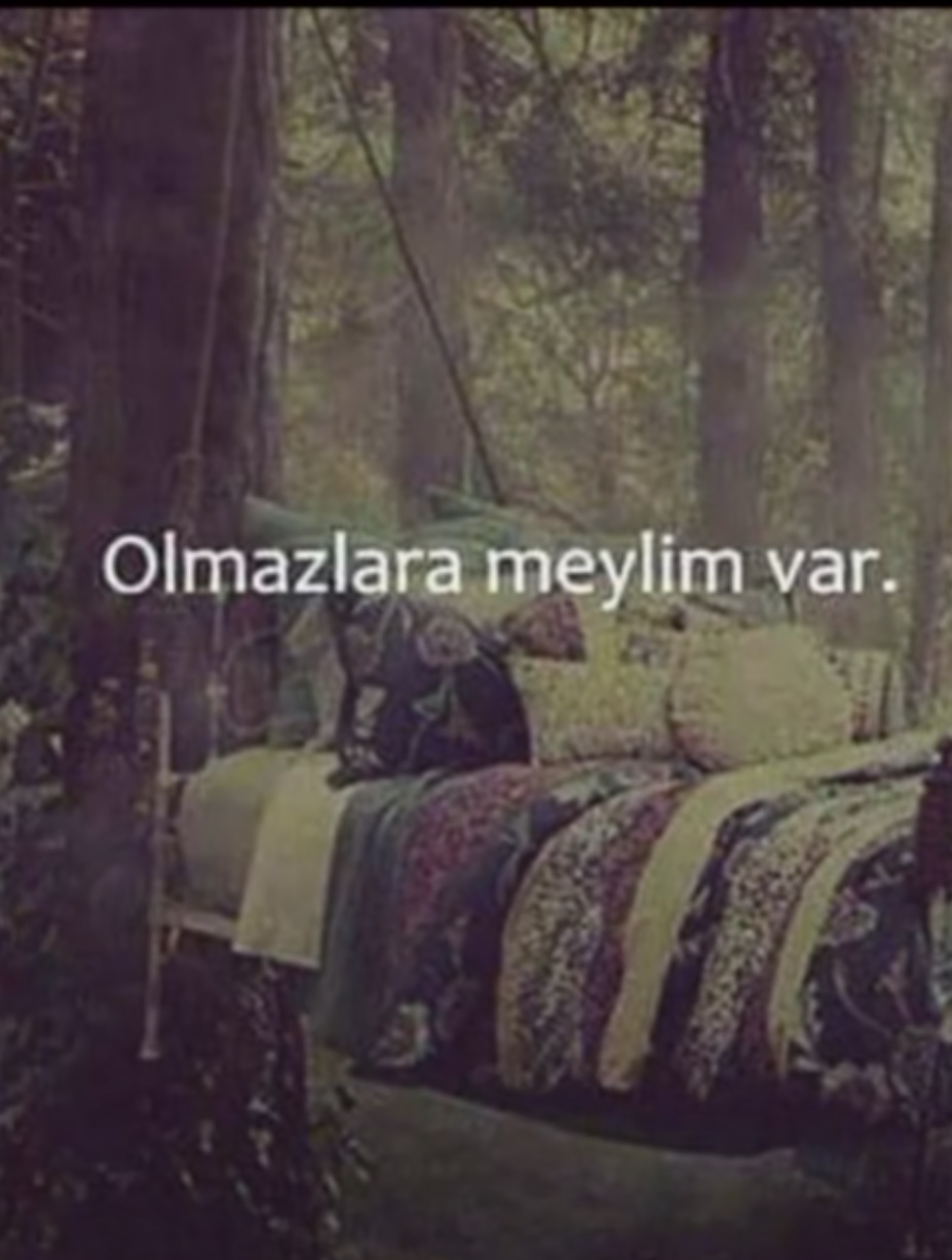 5D37F74A AE0A 4250 BD38 929ADA869846