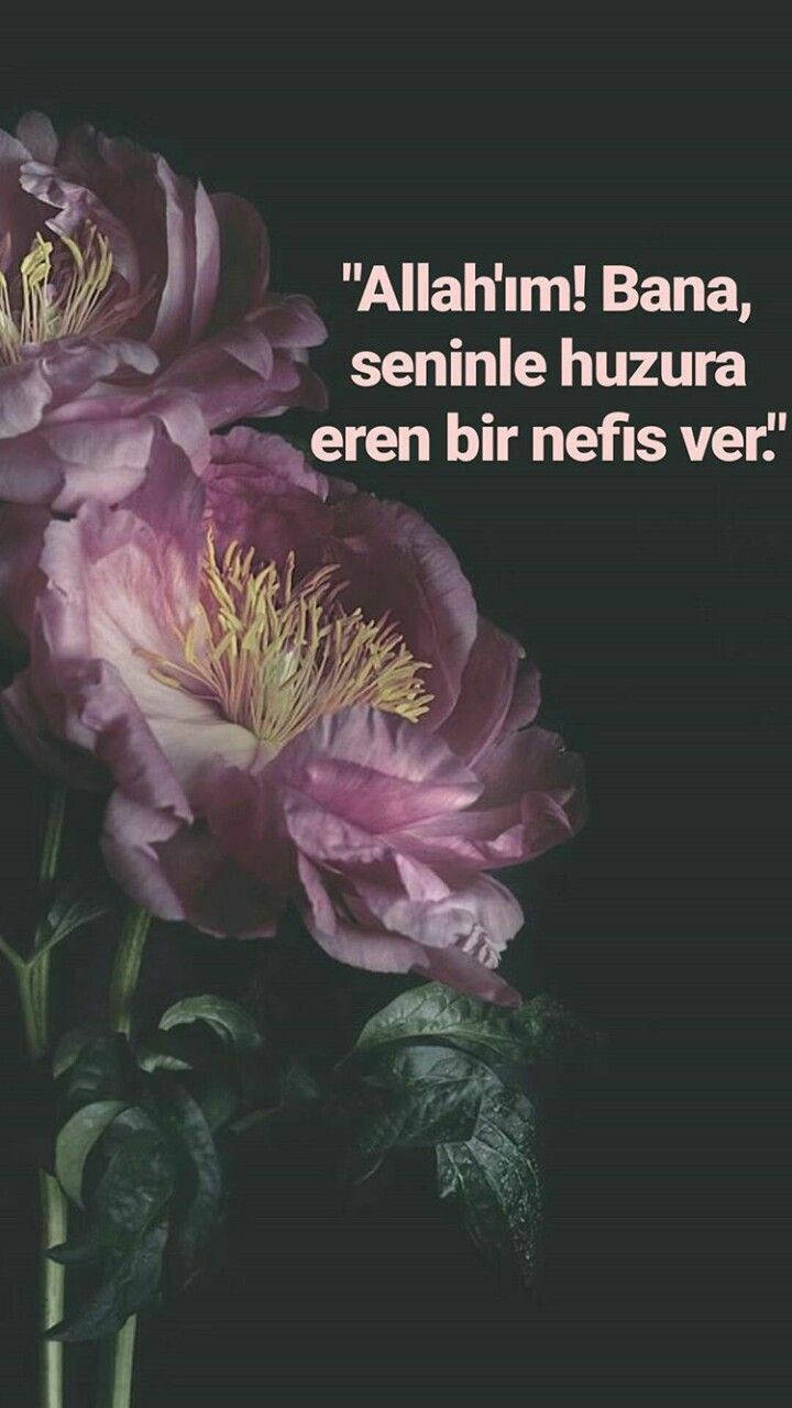 6ae1981841a6aca7312d6b7438fc501f