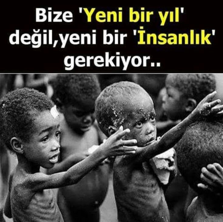 709f04d547c4f3d44e3ed7729fd25702