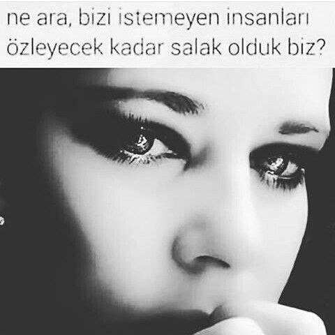 728077f4517315216f72f161097eabab