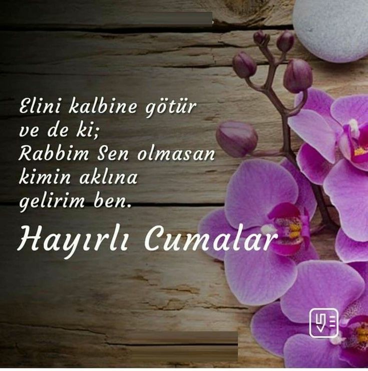 8f9f73504692ef77ef97b638fd192777
