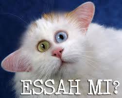 936058 530745110404895 8134371555405257263 n
