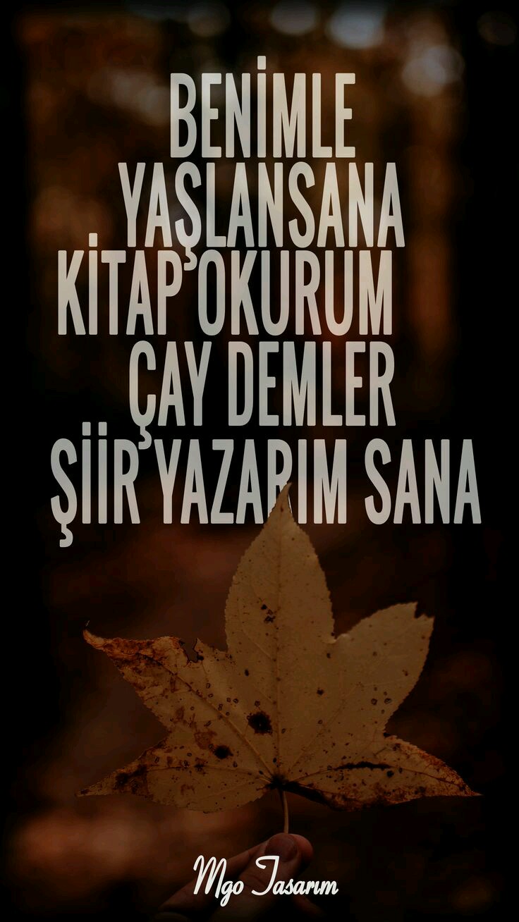 9682a5df8950e4db1fcef3b233e77229