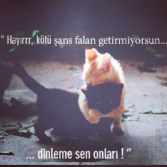 9b254a3f9c729fe73bde0c6ee0a96517