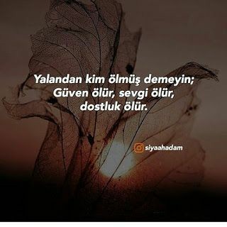 A0cd80b284fbf3ad6feedc860bf901e0