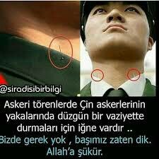 C40b7293ad93dbadbe69daa4a0727ea5