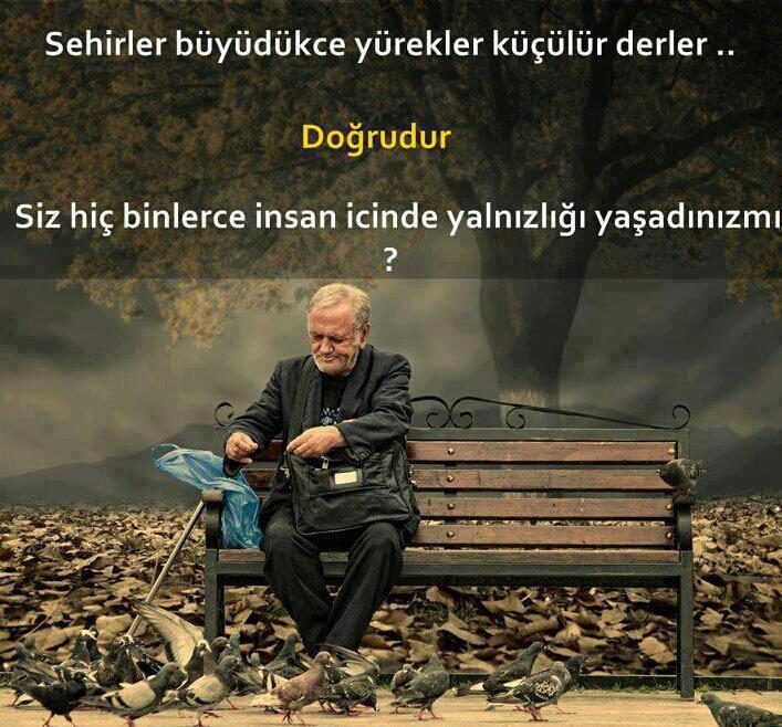 Ce0cef66bfa3e6b37bac48f39a0de879