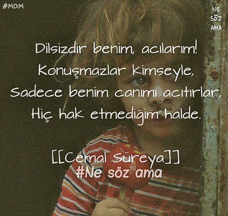 Dilsiz