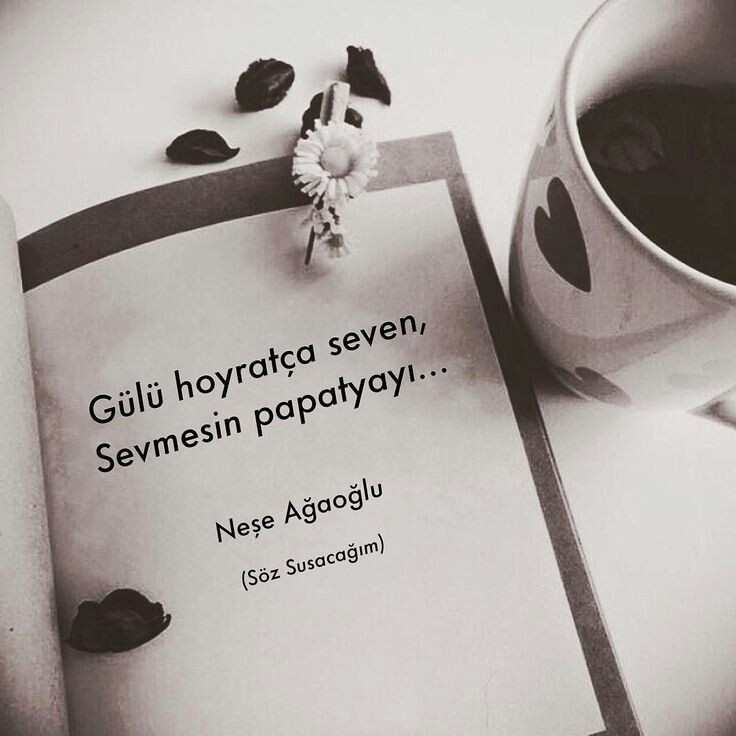 Ea7c57f29f06b25805e2aad0fe1970c6
