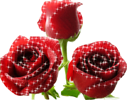 En guzel gul resimleri hareketli gul resimleri 551488