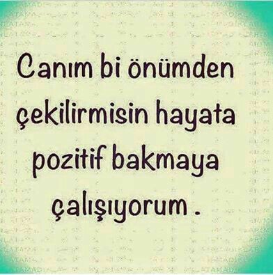 F66b8a3c077f6ecf15bb9033e0411773
