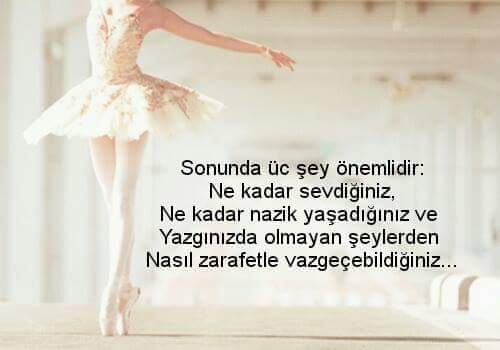 FB IMG 1480116543521