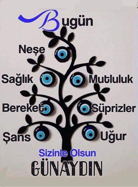 FB IMG 1495480610884