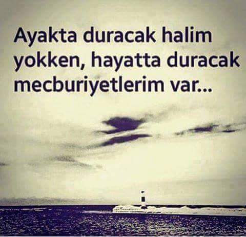 FB IMG 1507147798309