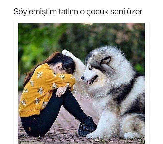 FB IMG 1515133994994