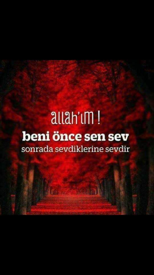 FB IMG 1518756180668