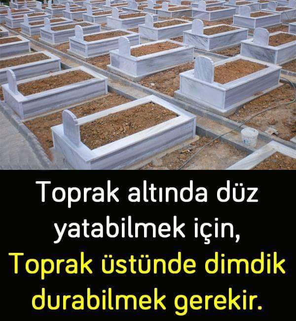 FB IMG 1525928678493