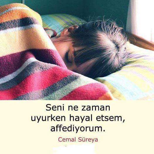 FB IMG 1535340259558