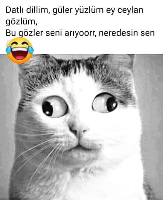 FB IMG 1561722558210