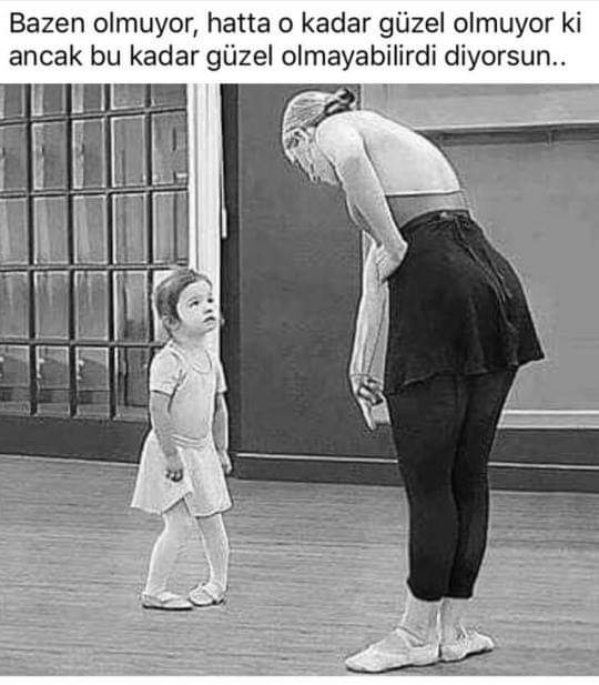 FB IMG 1562837076457