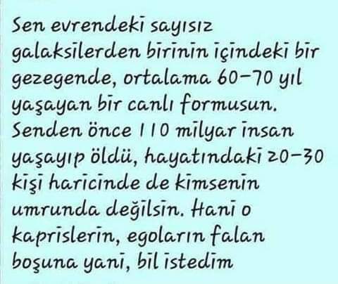 FB IMG 1563661581883