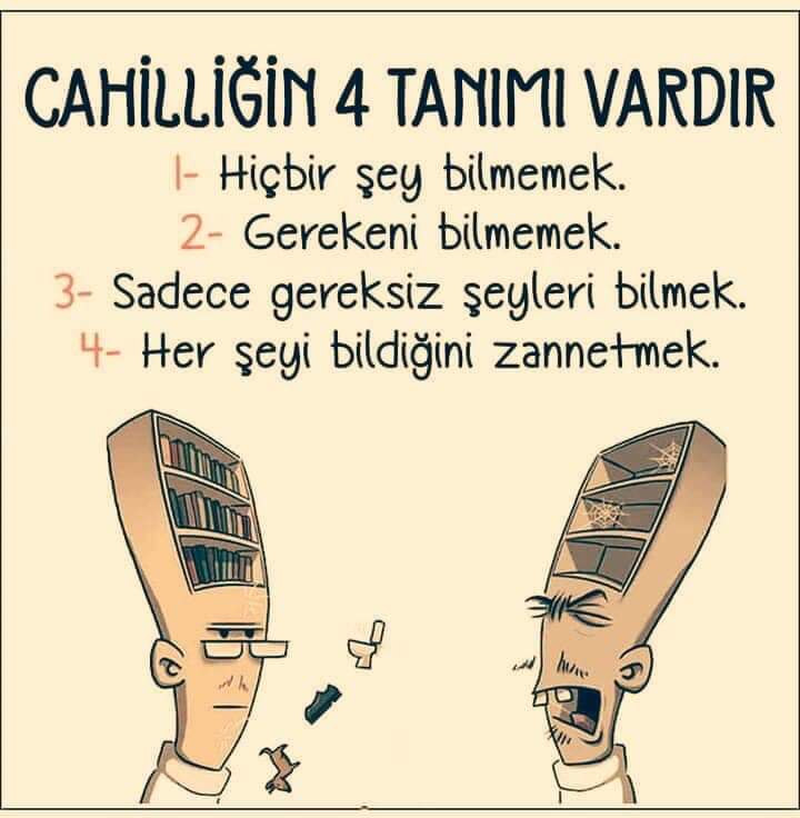 FB IMG 1564126916605