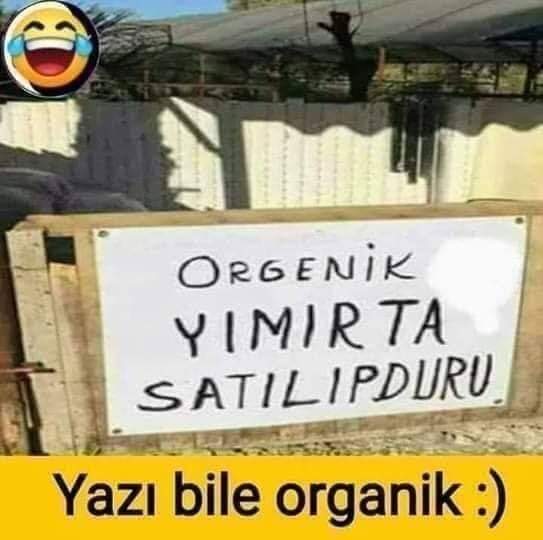 FB IMG 1566304118160