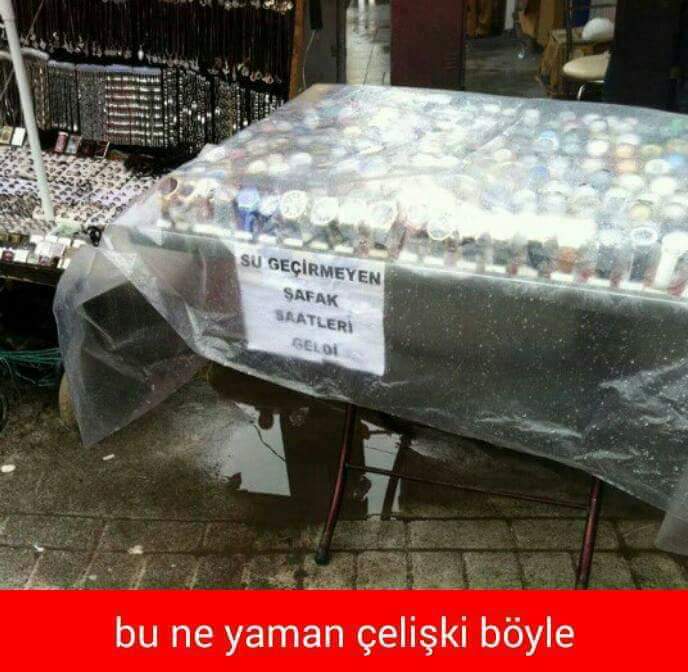 FB IMG 1566304886265