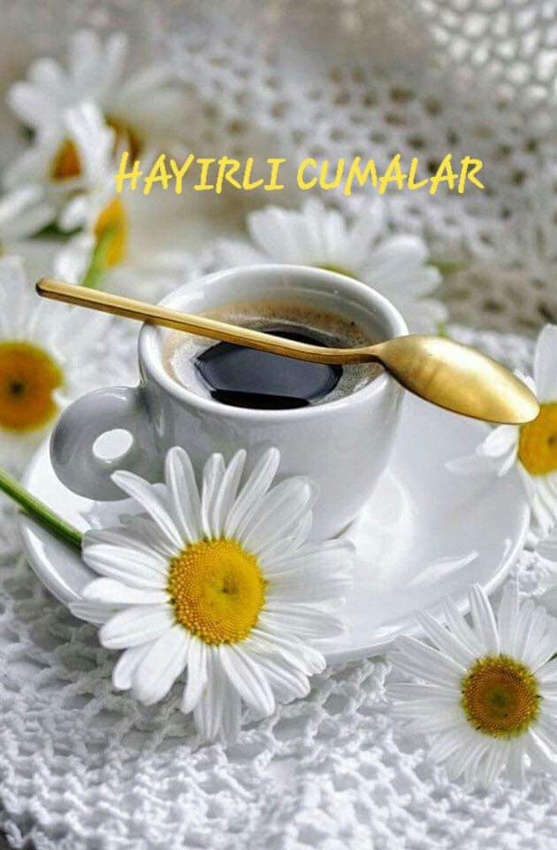 FB IMG 1567762627903
