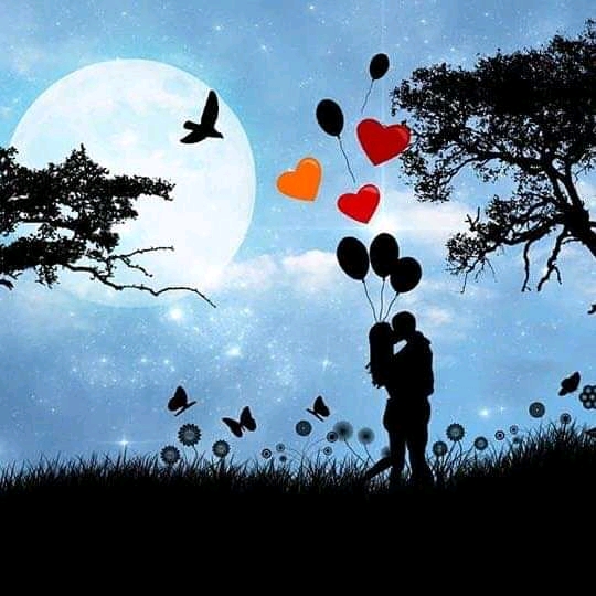 FB IMG 15763647453553977