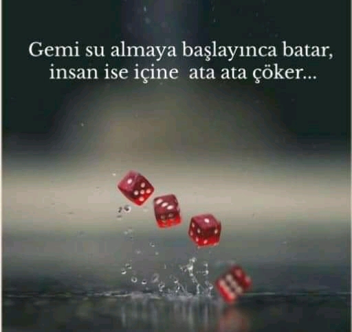 FB IMG 15765383407676072