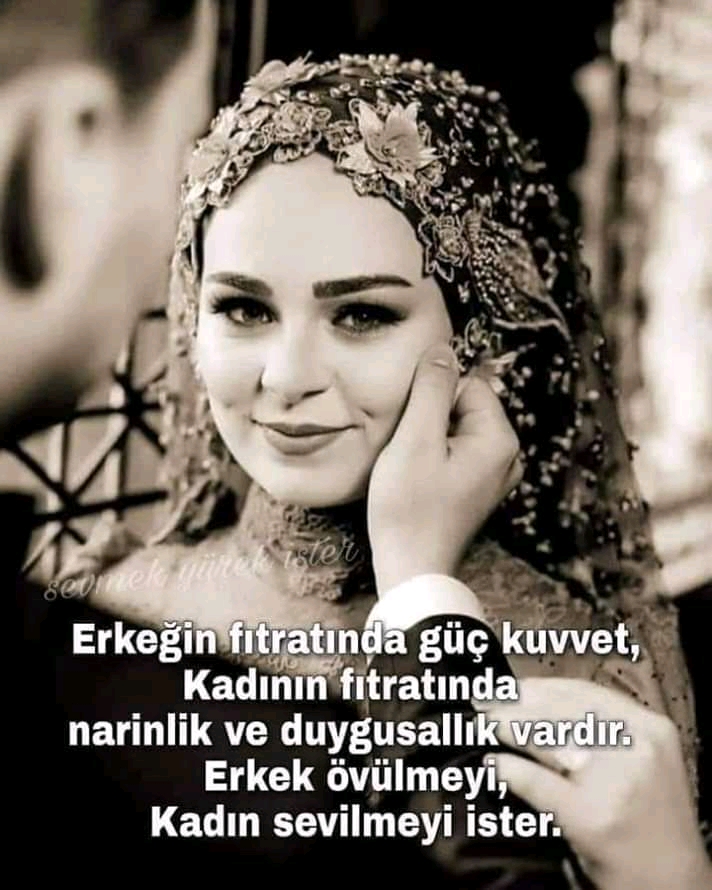 FB IMG 15767018213556902