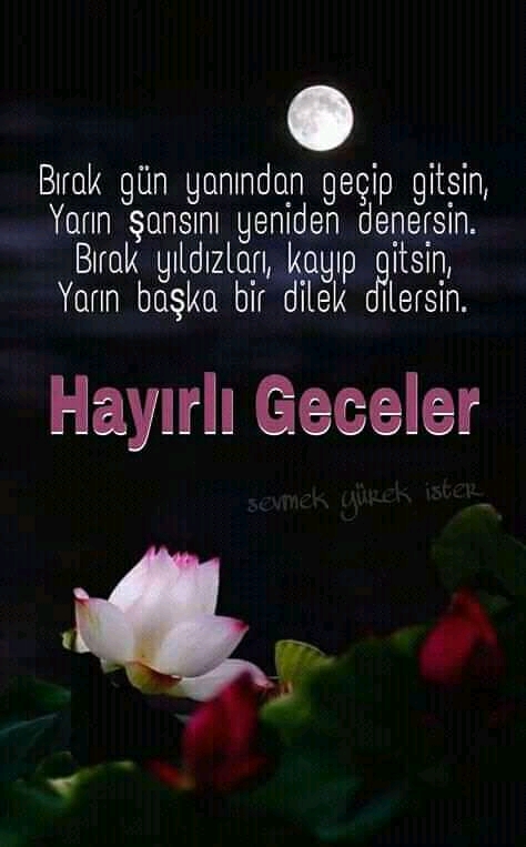 FB IMG 15767103813657336