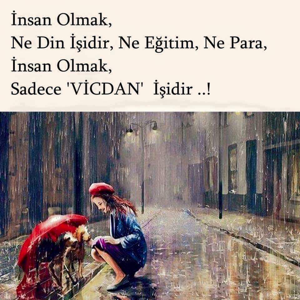 FB IMG 1576711707544