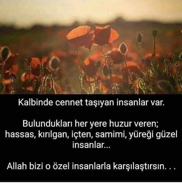 FB IMG 1576865781365