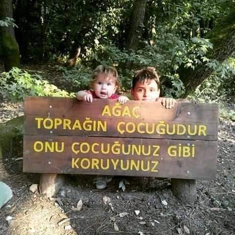 FB IMG 1578347036302