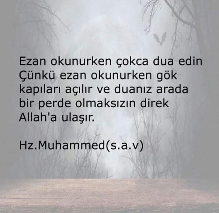 FB IMG 1578650246765