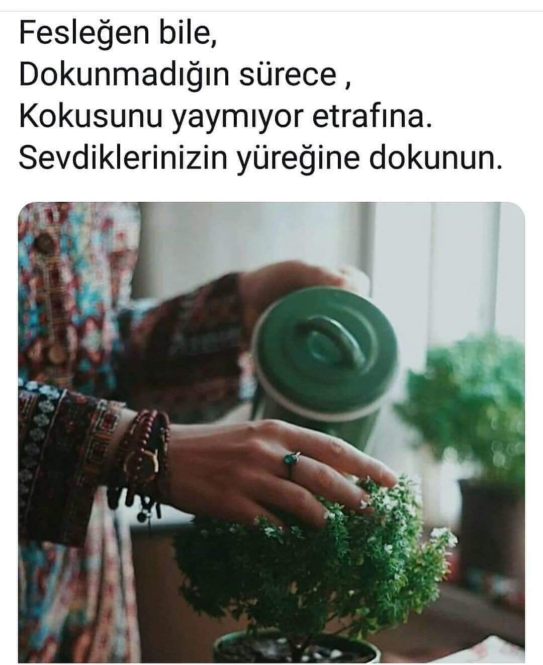 FB IMG 1578792049605