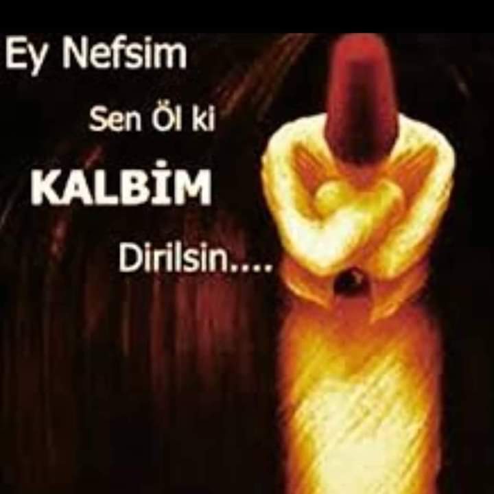 FB IMG 1592090693396