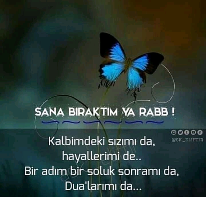 FB IMG 15962346705012899
