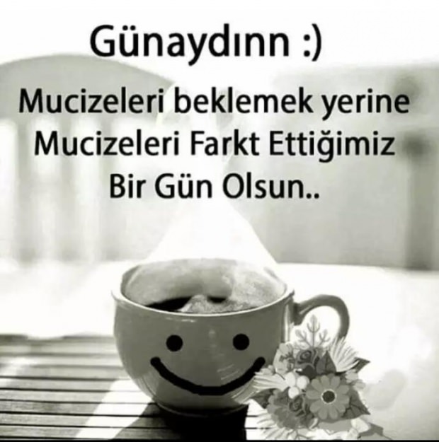 Gnydn